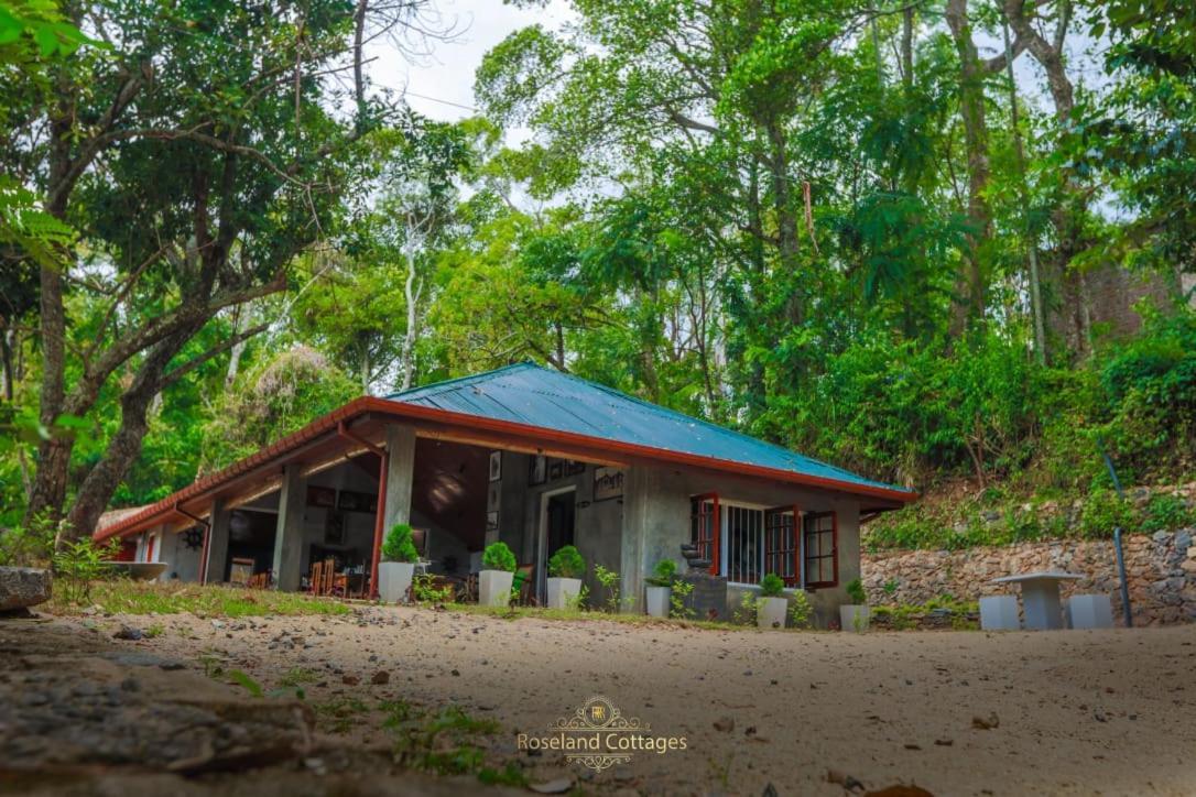 Roseland Cottages Бандаравела Екстериор снимка